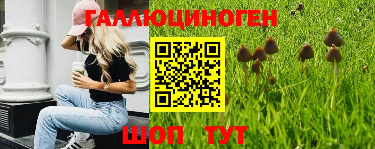 Галлюциногенные грибы MAGIC MUSHROOMS  Вход с VPN  Павлово  Галлюциногенные грибы Magic Shrooms 
