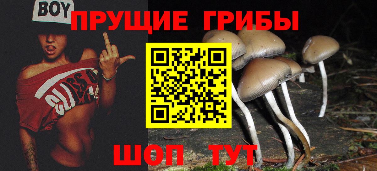 Псилоцибиновые грибы Magic Shrooms Павлово